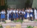 1-sfs (24)